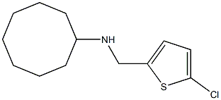N-[(5-chlorothiophen-2-yl)methyl]cyclooctanamine 化学構造式