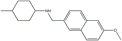  N-[(6-methoxynaphthalen-2-yl)methyl]-4-methylcyclohexan-1-amine