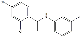 N-[1-(2,4-dichlorophenyl)ethyl]-3-iodoaniline Struktur