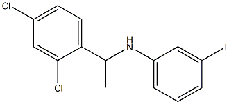 N-[1-(2,4-dichlorophenyl)ethyl]-3-iodoaniline Structure