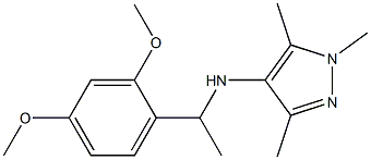  N-[1-(2,4-dimethoxyphenyl)ethyl]-1,3,5-trimethyl-1H-pyrazol-4-amine