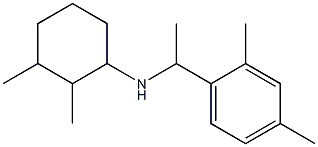 N-[1-(2,4-dimethylphenyl)ethyl]-2,3-dimethylcyclohexan-1-amine,,结构式