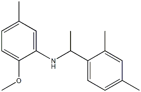 N-[1-(2,4-dimethylphenyl)ethyl]-2-methoxy-5-methylaniline 结构式