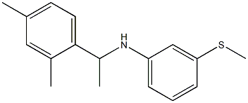 N-[1-(2,4-dimethylphenyl)ethyl]-3-(methylsulfanyl)aniline Struktur