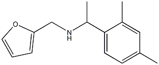 N-[1-(2,4-dimethylphenyl)ethyl]-N-(2-furylmethyl)amine,,结构式