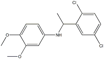 N-[1-(2,5-dichlorophenyl)ethyl]-3,4-dimethoxyaniline Structure