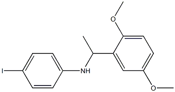  N-[1-(2,5-dimethoxyphenyl)ethyl]-4-iodoaniline