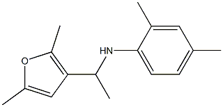 N-[1-(2,5-dimethylfuran-3-yl)ethyl]-2,4-dimethylaniline Struktur