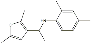  N-[1-(2,5-dimethylfuran-3-yl)ethyl]-2,4-dimethylaniline