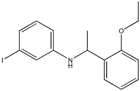 N-[1-(2-ethoxyphenyl)ethyl]-3-iodoaniline Structure