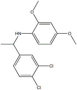 N-[1-(3,4-dichlorophenyl)ethyl]-2,4-dimethoxyaniline Structure