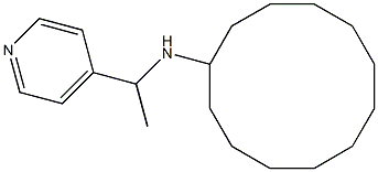 N-[1-(pyridin-4-yl)ethyl]cyclododecanamine Structure