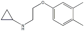  N-[2-(3,4-dimethylphenoxy)ethyl]cyclopropanamine