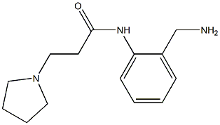 N-[2-(aminomethyl)phenyl]-3-pyrrolidin-1-ylpropanamide Struktur