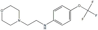 N-[2-(morpholin-4-yl)ethyl]-4-(trifluoromethoxy)aniline Struktur