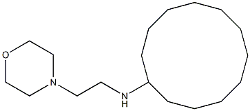 N-[2-(morpholin-4-yl)ethyl]cyclododecanamine 化学構造式