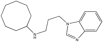 N-[3-(1H-1,3-benzodiazol-1-yl)propyl]cyclooctanamine,,结构式