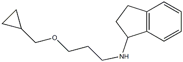 N-[3-(cyclopropylmethoxy)propyl]-2,3-dihydro-1H-inden-1-amine Struktur