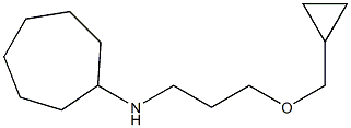 N-[3-(cyclopropylmethoxy)propyl]cycloheptanamine Struktur