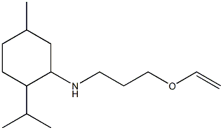 N-[3-(ethenyloxy)propyl]-5-methyl-2-(propan-2-yl)cyclohexan-1-amine Struktur