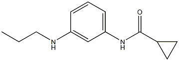 N-[3-(propylamino)phenyl]cyclopropanecarboxamide Structure