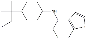 N-[4-(2-methylbutan-2-yl)cyclohexyl]-4,5,6,7-tetrahydro-1-benzofuran-4-amine,,结构式