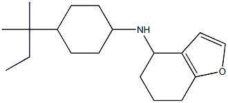  N-[4-(2-methylbutan-2-yl)cyclohexyl]-4,5,6,7-tetrahydro-1-benzofuran-4-amine