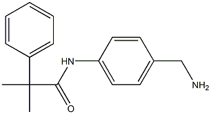 N-[4-(aminomethyl)phenyl]-2-methyl-2-phenylpropanamide|