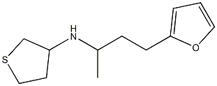 N-[4-(furan-2-yl)butan-2-yl]thiolan-3-amine Struktur