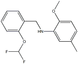 N-{[2-(difluoromethoxy)phenyl]methyl}-2-methoxy-5-methylaniline,,结构式