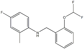  N-{[2-(difluoromethoxy)phenyl]methyl}-4-fluoro-2-methylaniline