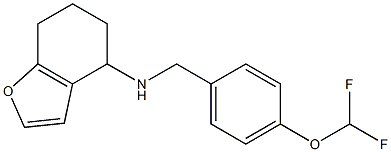 N-{[4-(difluoromethoxy)phenyl]methyl}-4,5,6,7-tetrahydro-1-benzofuran-4-amine 化学構造式