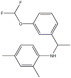 N-{1-[3-(difluoromethoxy)phenyl]ethyl}-2,4-dimethylaniline