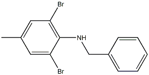 N-benzyl-2,6-dibromo-4-methylaniline Structure