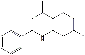 N-benzyl-5-methyl-2-(propan-2-yl)cyclohexan-1-amine Structure