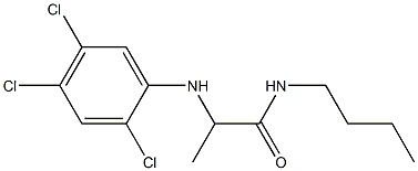 N-butyl-2-[(2,4,5-trichlorophenyl)amino]propanamide Structure