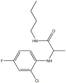 N-butyl-2-[(2-chloro-4-fluorophenyl)amino]propanamide Struktur