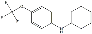 N-cyclohexyl-4-(trifluoromethoxy)aniline Struktur
