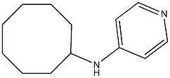 N-cyclooctylpyridin-4-amine 化学構造式