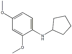 N-cyclopentyl-2,4-dimethoxyaniline Struktur