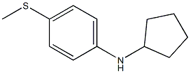 N-cyclopentyl-4-(methylsulfanyl)aniline 化学構造式