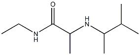 N-ethyl-2-[(3-methylbutan-2-yl)amino]propanamide|