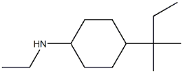 N-ethyl-4-(2-methylbutan-2-yl)cyclohexan-1-amine 结构式