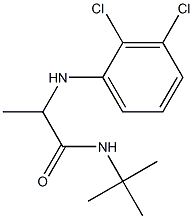  N-tert-butyl-2-[(2,3-dichlorophenyl)amino]propanamide