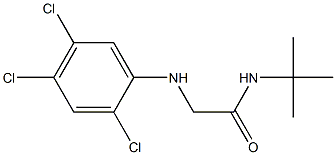 N-tert-butyl-2-[(2,4,5-trichlorophenyl)amino]acetamide Struktur