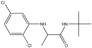 N-tert-butyl-2-[(2,5-dichlorophenyl)amino]propanamide 化学構造式