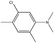 N-(5-chloro-2,4-dimethylphenyl)-N,N-dimethylamine|