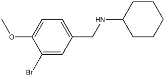 N-(3-bromo-4-methoxybenzyl)cyclohexanamine Struktur