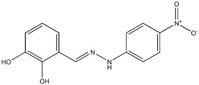 2,3-dihydroxybenzaldehyde N-(4-nitrophenyl)hydrazone Structure