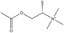 Trimethyl[(1S)-2-acetoxy-1-methylethyl]aminium